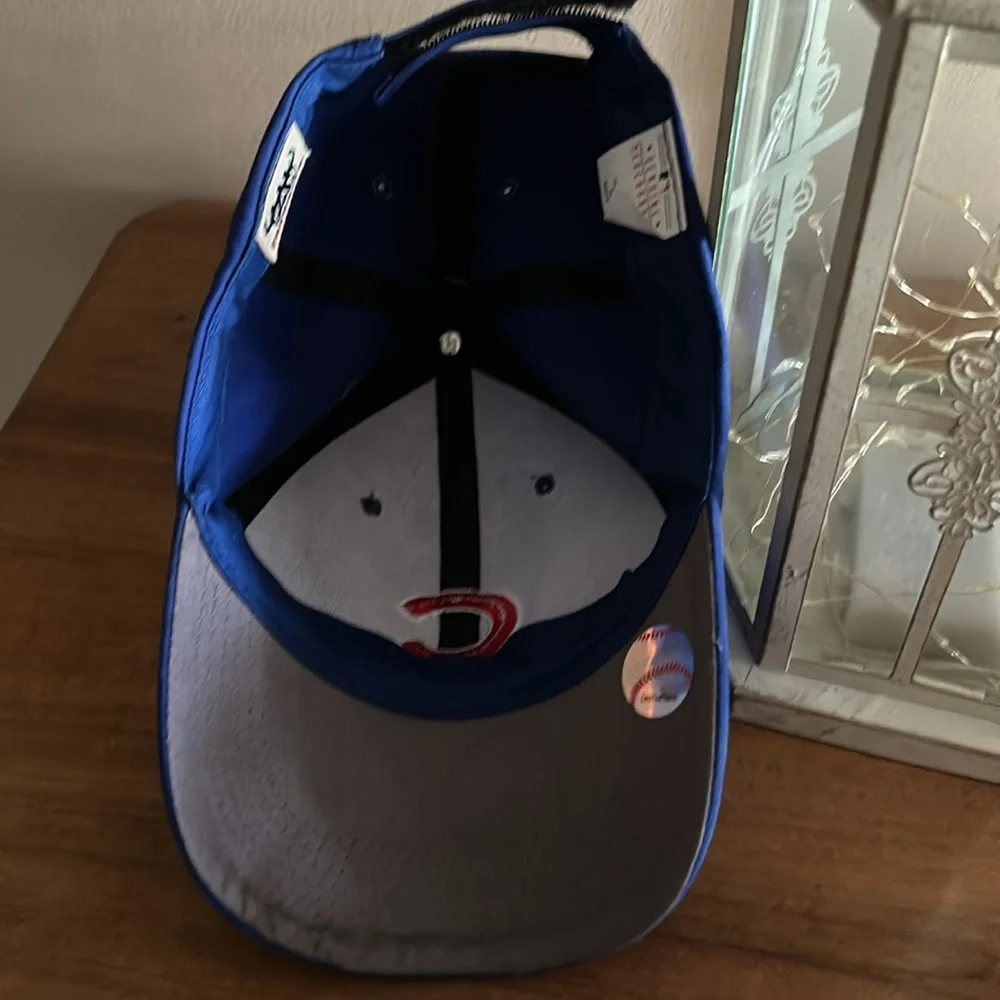 Chicago cubs cap